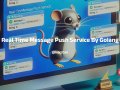 Real Time Message Push Service By Golang