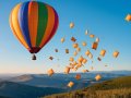 Sophon Airdrop: What You Need to Know About This Crypto Distribution Event