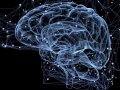 How can Emotional Intelligence apply to Software Engineering?