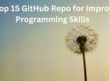 ?Top 15 GitHub Repo for Improve Programming Skills