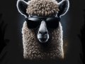 Text Summarization Llama2: how to Use LLama2 with Langchain