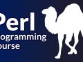 Step-by-Step Guide to Learning PERL Programming: From Novice to Expert