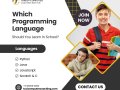 Which Programming Language Should You Learn in School?
