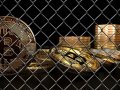 Why Isn't Bitcoin Banned Everywhere?
