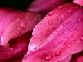 Using Angular get-color-from-palette to Retrieve Color Values