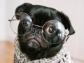 Why I Stopped Using CSS in React