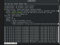 Execute Python Code On Docker Container