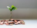 How could I double my income learning Bubble? That’s ridiculous.