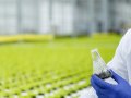 Water Quality Testers in Agriculture: Key Applications