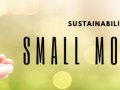 Sustainability is a SMALL Movement – Part 2