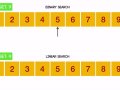 Python: Linear & Binary Search