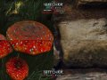 The Witcher 3 HD Reworked Project NextGen Mod Gets Texture Quality Preview