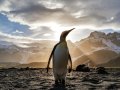 I Switched From Windows To Linux. Here’s Why You Should Too