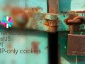 JWT authentication with NestJS and HTTP-only cookies
