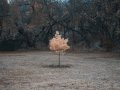 The Single Responsibility Principle Explained in Python