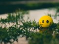 How To Stay Motivated While Learning To Code