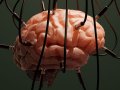 Scientists Now Want to Create AI Using Real Human Brain Cells