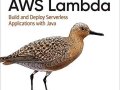Read PDF Book Kindle Programming AWS Lambda: Build and Deploy Serverless Applications with Java by John Chapin & Mike