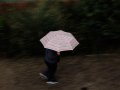 For Bay Area, rain to start fading away gradually following more isolated showers