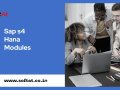 Unlocking Business Potential with SAP S4 HANA Modules
