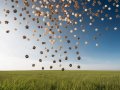 Paws Airdrop Total Supply: Key Facts and Distribution Details for 2025