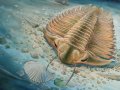 Bizarre 465-Million-Year-Old Creature Found With Gut Contents Preserved