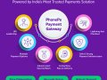 Guide: PhonePe Payment Gateway