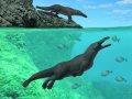 Oddball ancient whale had four legs, hooves on its toes