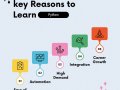 Unlocking the Power of Python: Why Learning Python is Essential
