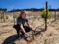 Northern California winemakers embrace fire fighting in early wildfire season