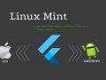 How To Install Flutter SDK On Linux Mint?