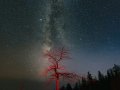 The AI Revolution: How Artificial Intelligence is Reshaping Our World