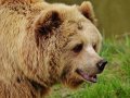 What’s New in Pandas 1.0? ?