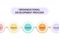 Factors to Keep in Mind While Implementing Organizational Development