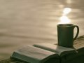 BP’s Daily Digest: Python 3.11, Discord Bots, Web3.js, and More
