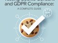 Testing Cookie Consent and GDPR Compliance: A Complete Guide