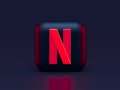 Netflix: How It Works, What It All Means