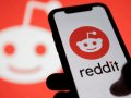 Why did Reddit Get So Popular ?