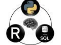 Essential Programming Languages for Data Scientists