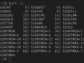 Assassinando processos em GNU/Linux