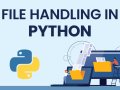 File Handling and Working with the io Package in Python