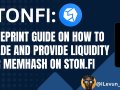 Blueprint Guide: How to Trade MEMHASH on STON.fi and Provide Liquidity for MEMHASH on STON.fi