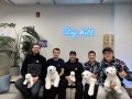 5 things we learned building IcePanel over the last year