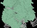 Generative A.I. Arrives in the Gene Editing World of CRISPR