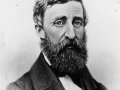 A Man Who Lived in Woods (Henry Thoreau) Can Teach You How to Do More by Doing Less