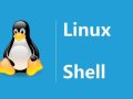 Shell Script Beginner Exercises