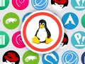 10 Advanced Shell Script Commands for Mastering the Command Line