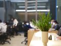 NPM Workspaces: Managing Multi-Package Projects