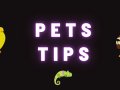 Can Ferrets Eat Pork? Meat Variety in Carnivore Diets