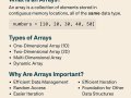 “Think Like a Programmer: Mastering Arrays with Real-World Magic”